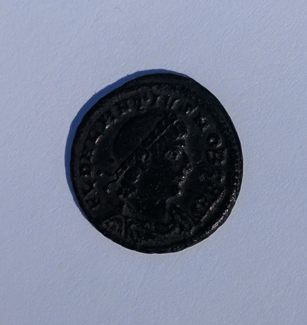 delmatius1.jpg