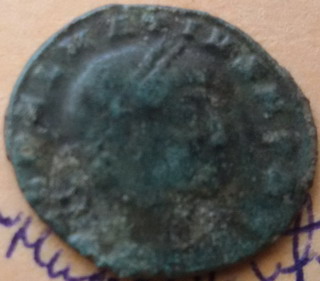 Delmatius1.jpg