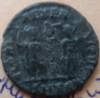 Delmatius4.jpg