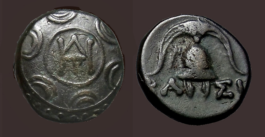 DemetPolioShield3.jpg