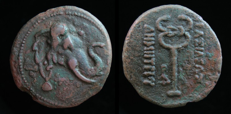 Demetrios I Aniketos AE1.jpg