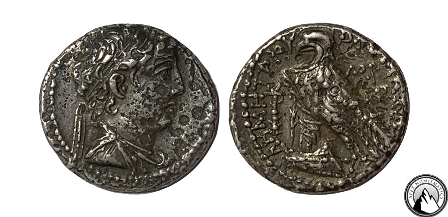 Demetrios II Didrachm.jpg
