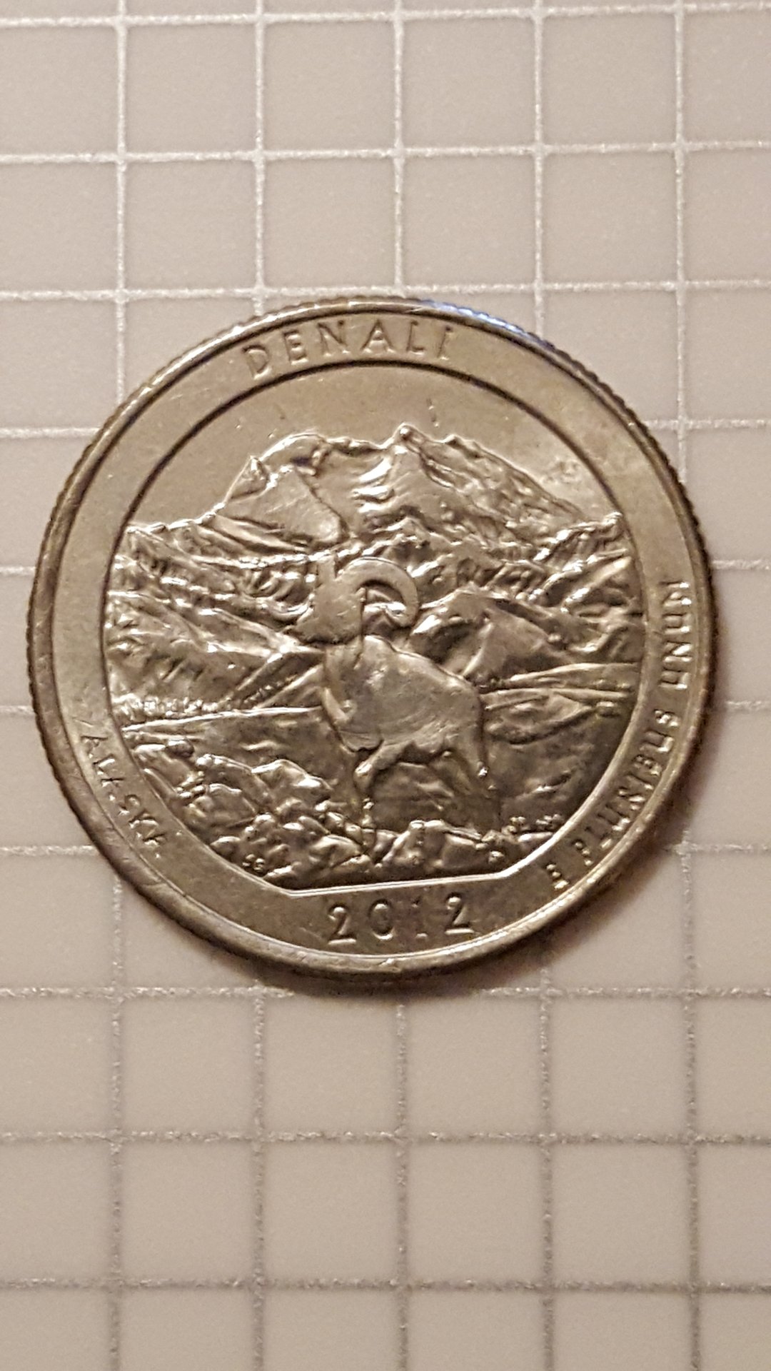 Denali Quarter .jpg