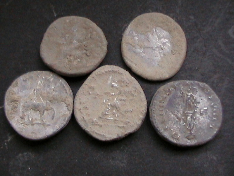 Denarii-Reverses - 1.jpg