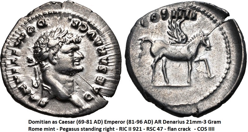 denarius Domitian Pegasus 20mm 3 gram.jpg