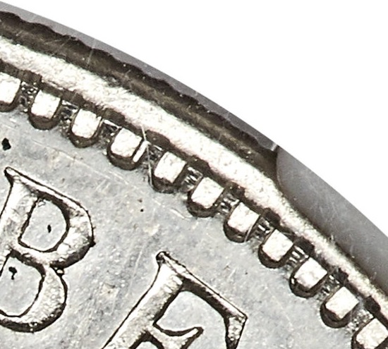 Denticle_zoom.jpg