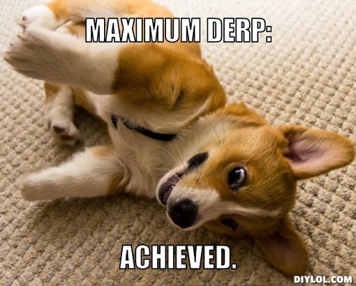 derpdog.jpg
