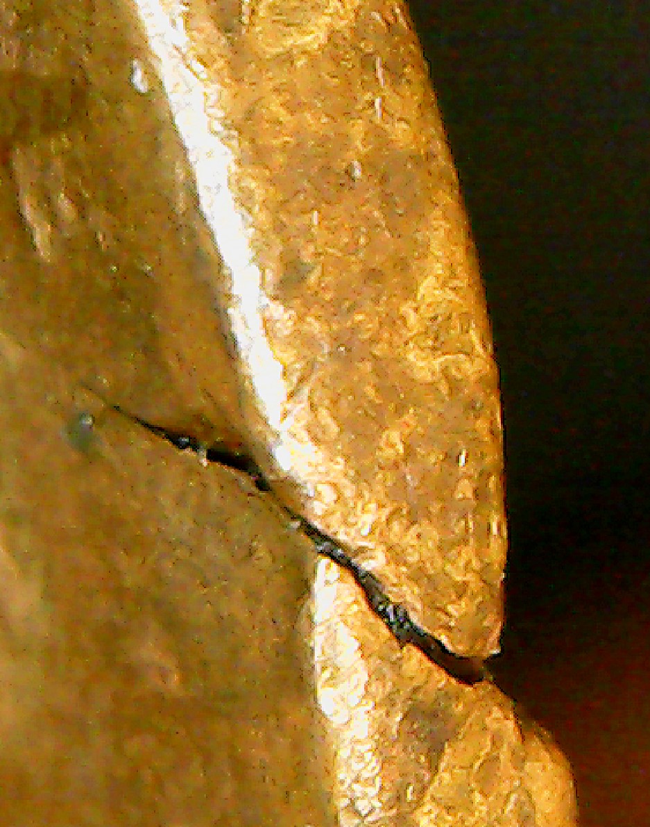Detail 1.jpg