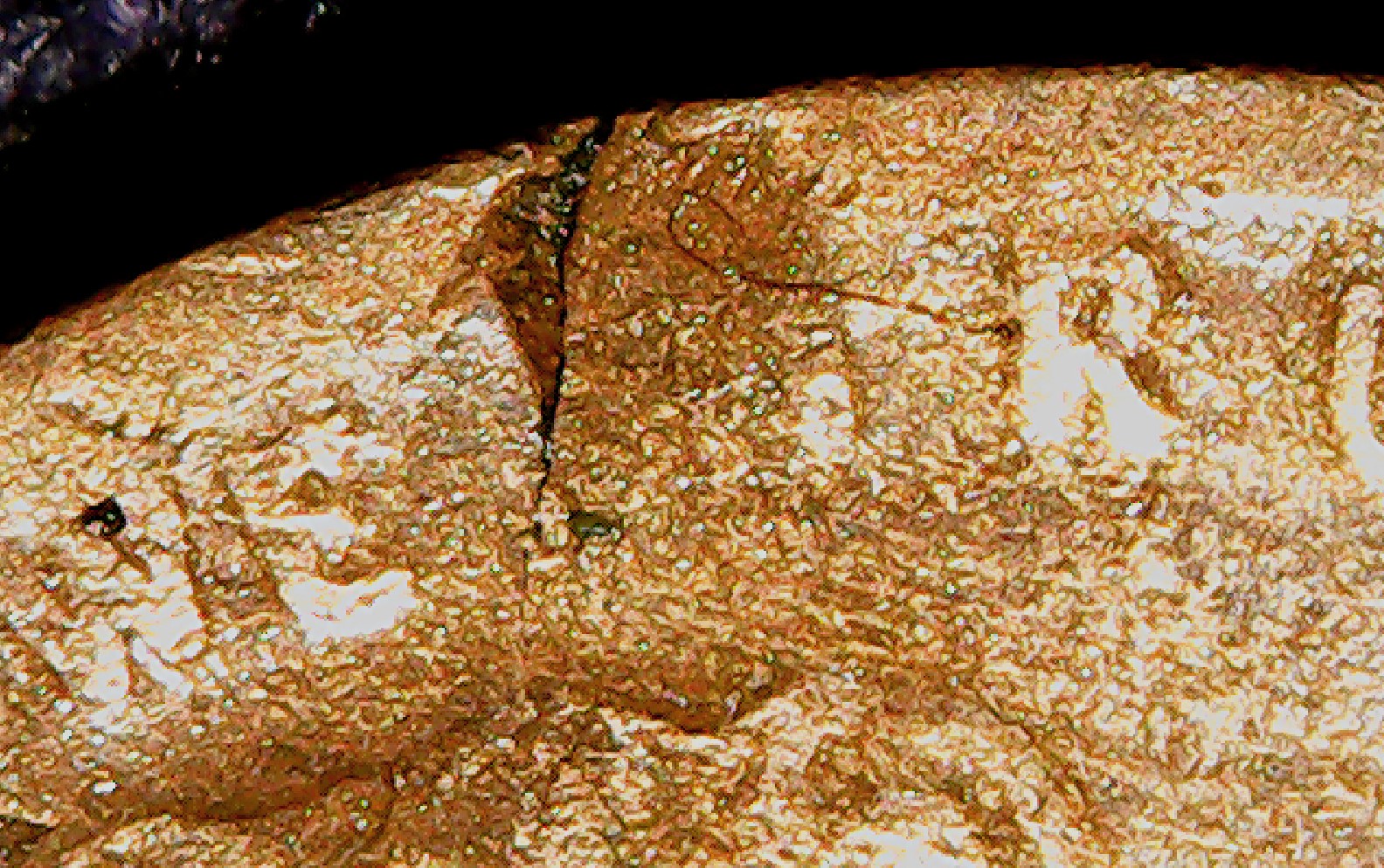 Detail 4.jpg