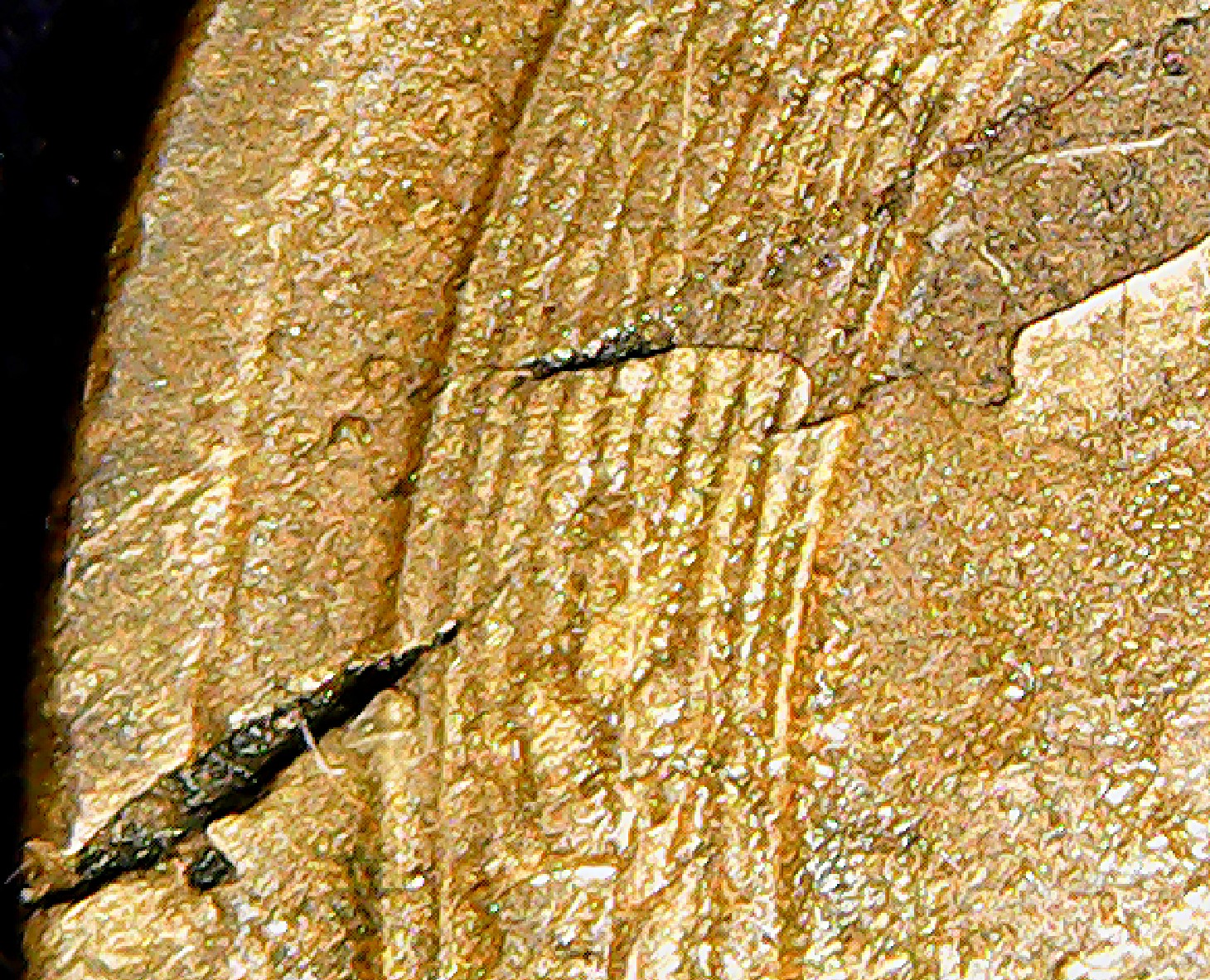 Detail 7.jpg