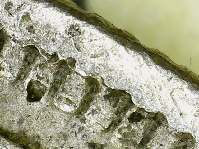 detail fake 1874 cc dentil 1 .jpg