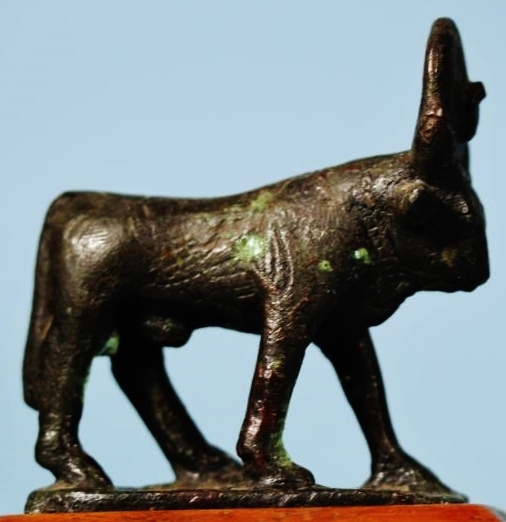 Detail hixenbaugh bronze apis bull photo 2 right (2).jpg