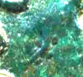Detail.jpg