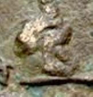 Detail.jpg