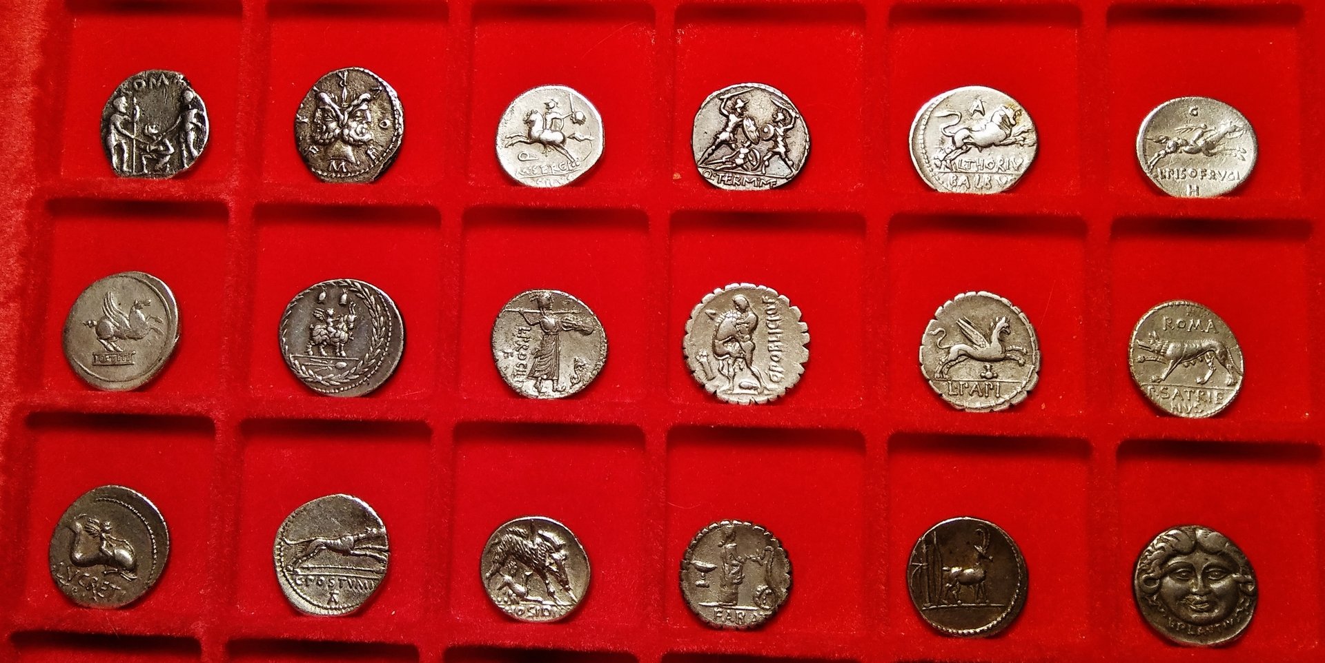 Detail Roman Republic coins in tray 1 (2) (without Greek coins).jpg