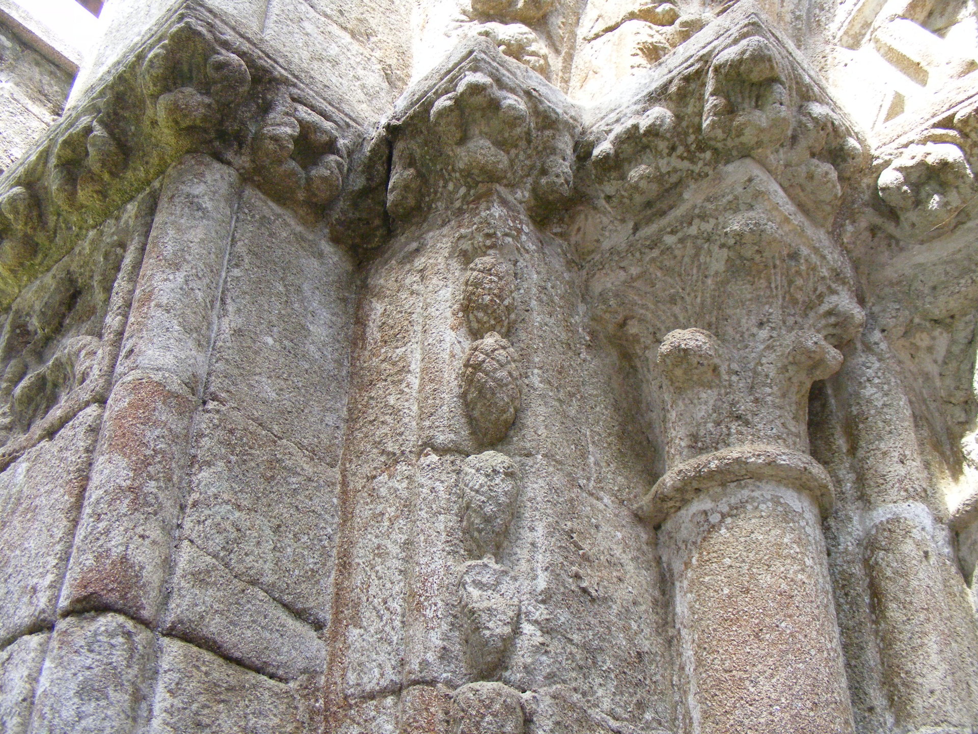 detGal1124.JPG