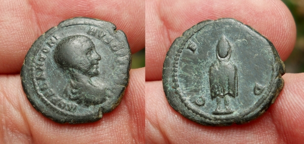 diademenian1.jpg