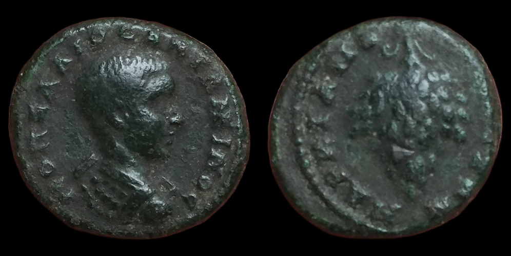 Diadumenian, AE16, Markianopolis, Grapes.png