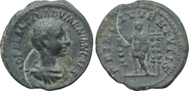 Diadumenian limes.jpg