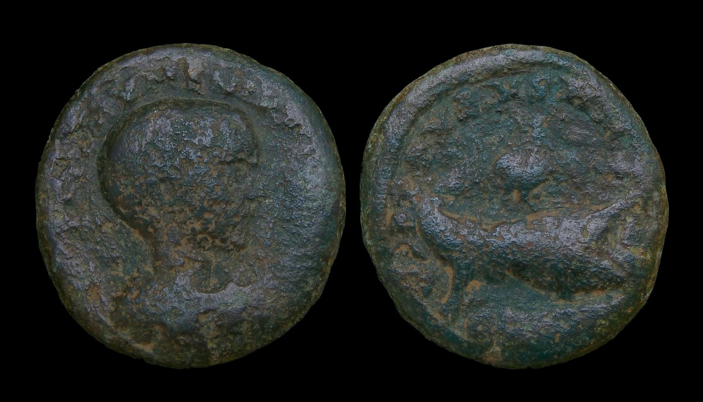 Diadumenian - Phoenicia Tyre Galley 3041.jpg