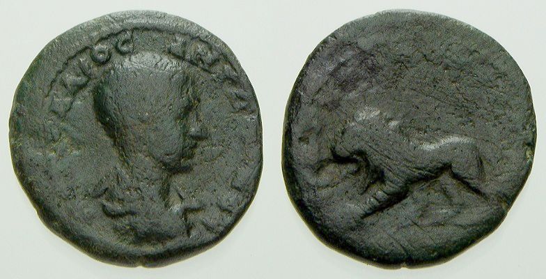 Diadumenian3.jpg