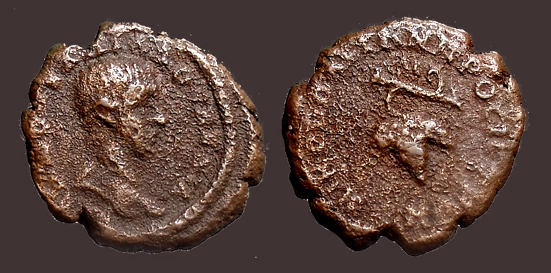 DiadumNicopolisGrapes.jpg