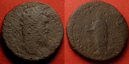 didius04.jpg