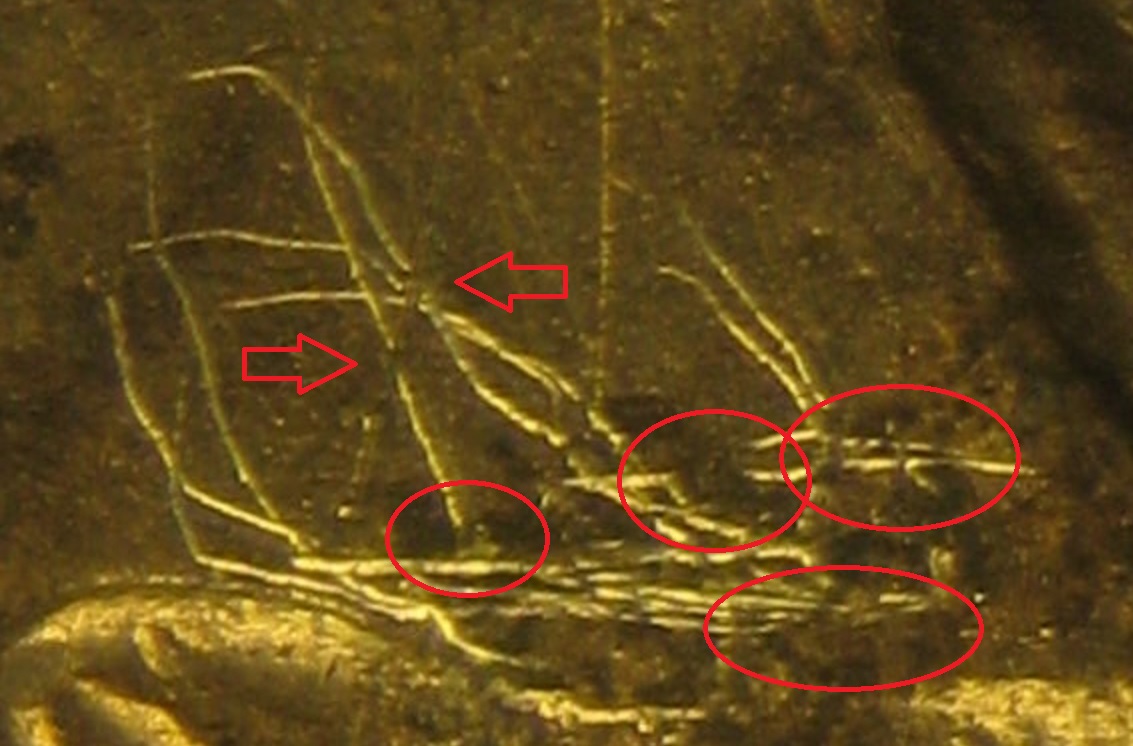 Die_Scratches_annotated.jpg
