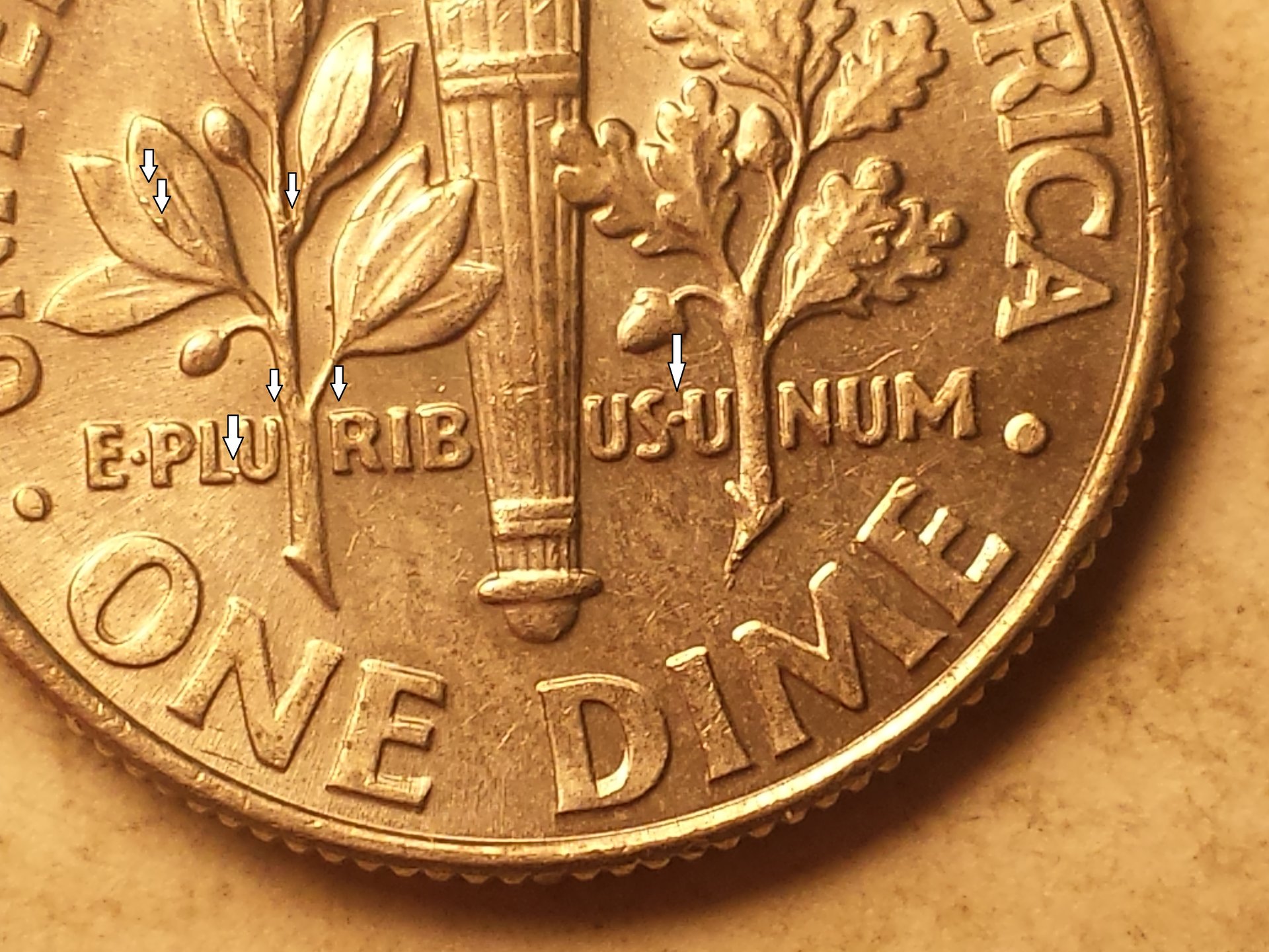 dime 008.jpg