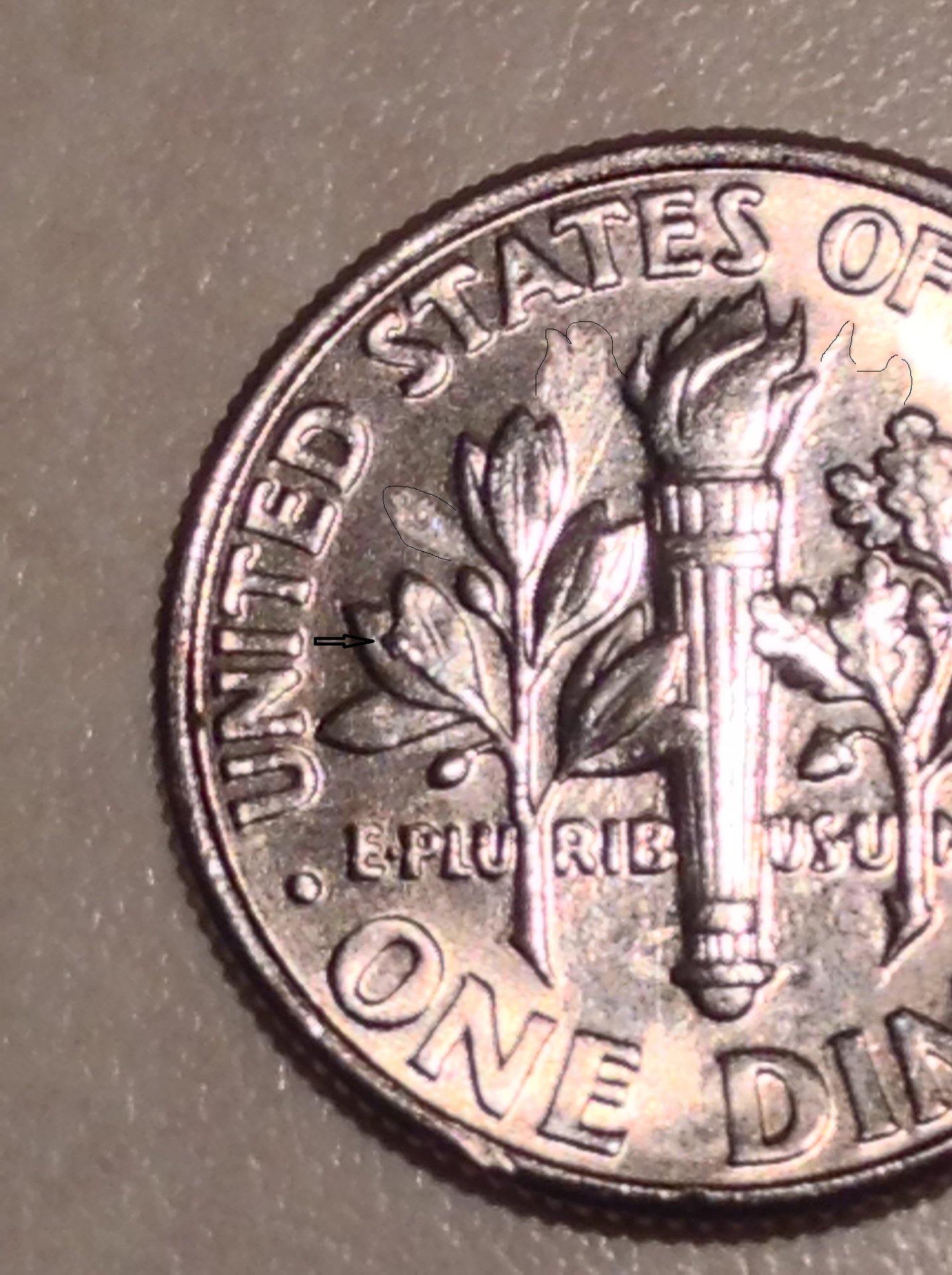 Dime Reverse - Mirror of Reverse Outlined.jpg