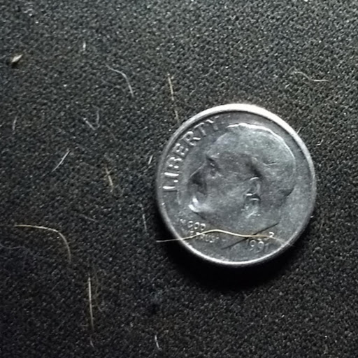 dime1.jpg