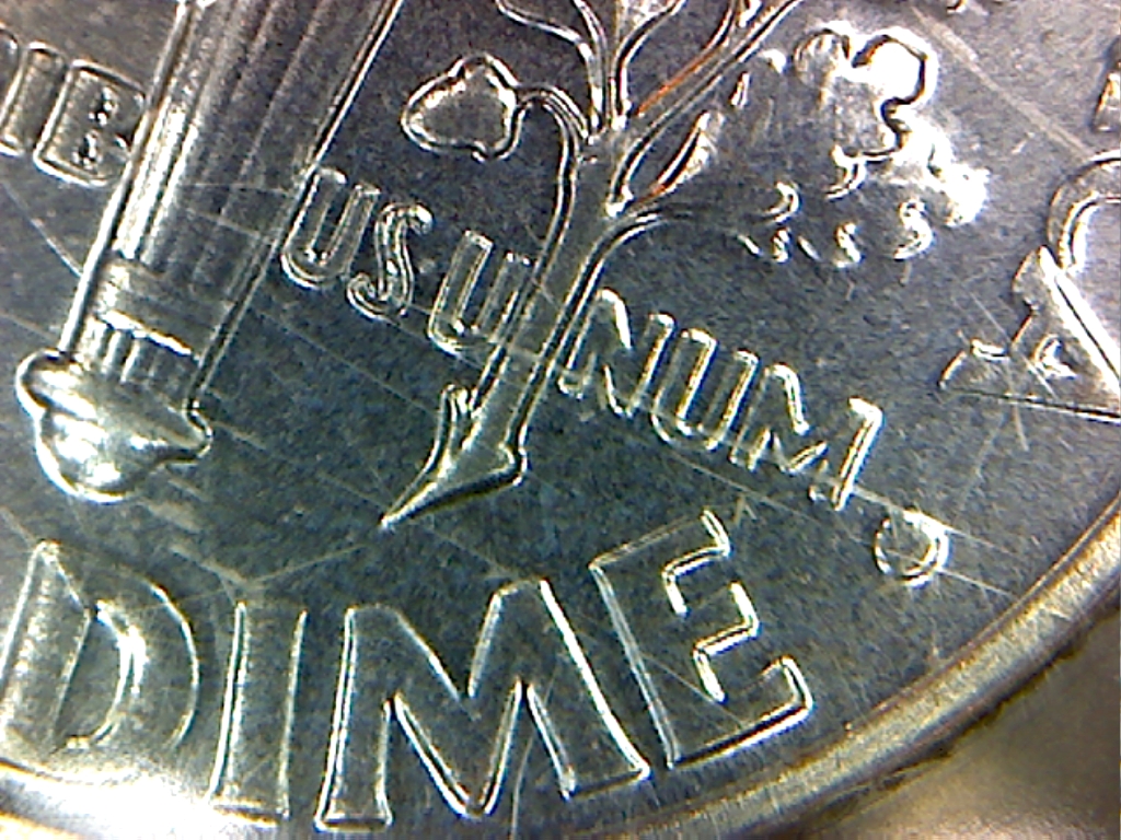 dimeREV.jpg