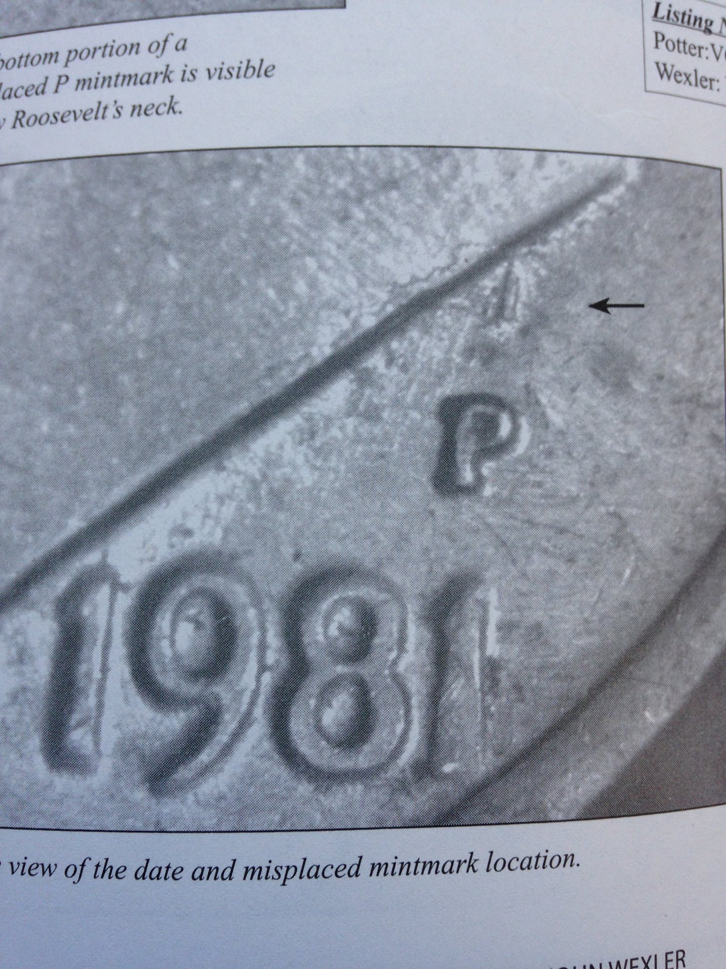 dimes 004.JPG