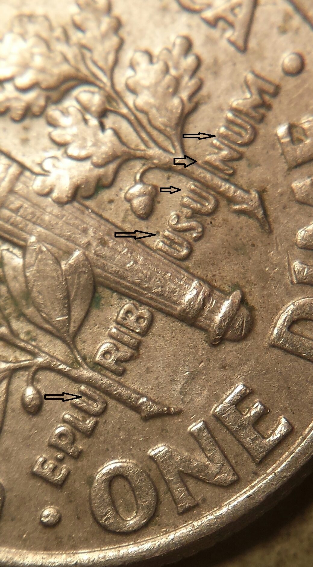 dimes 008.jpg