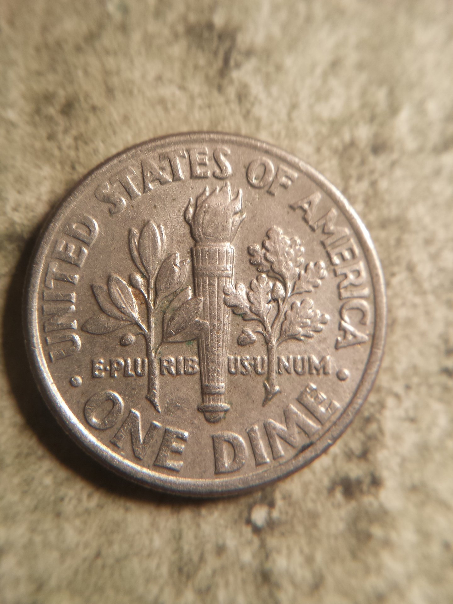dimes 011.jpg