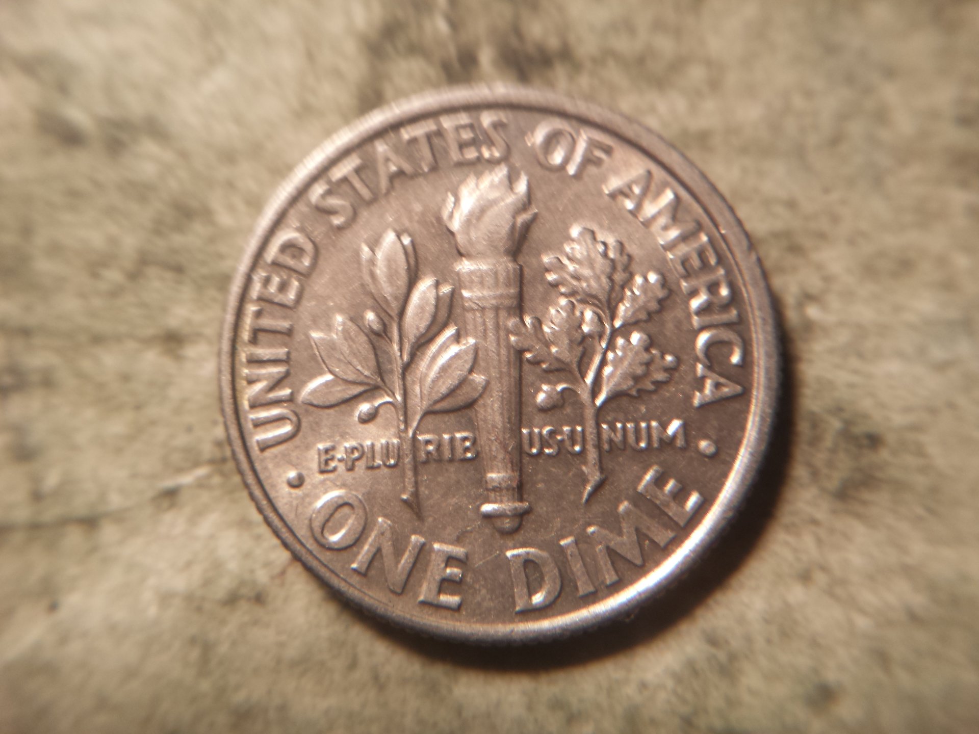 dimes 014.jpg