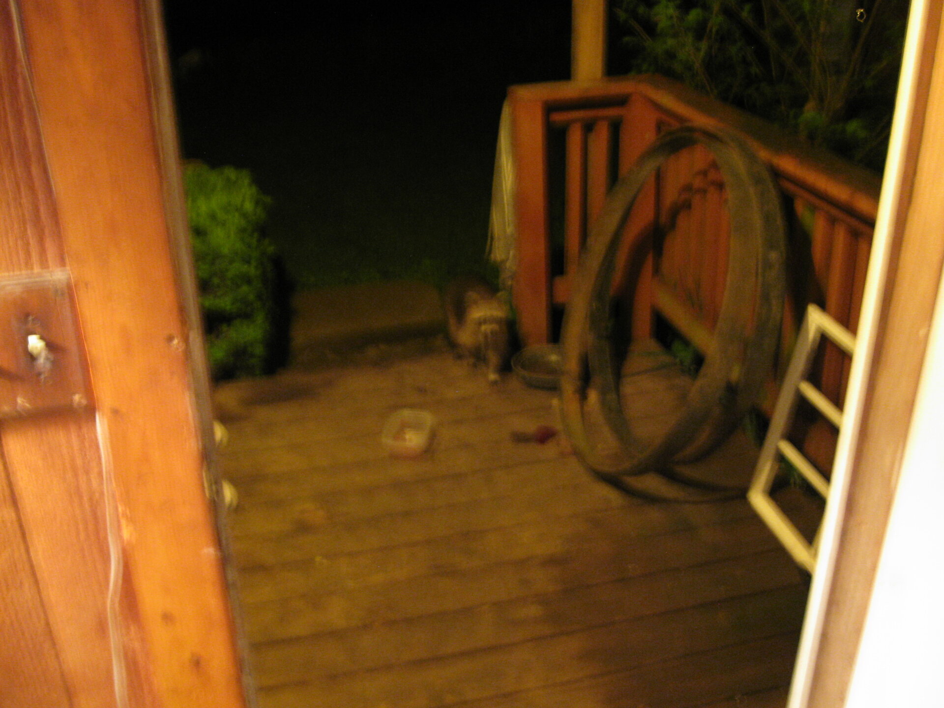 dinner guest 001.JPG