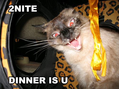 dinnerisu.jpg
