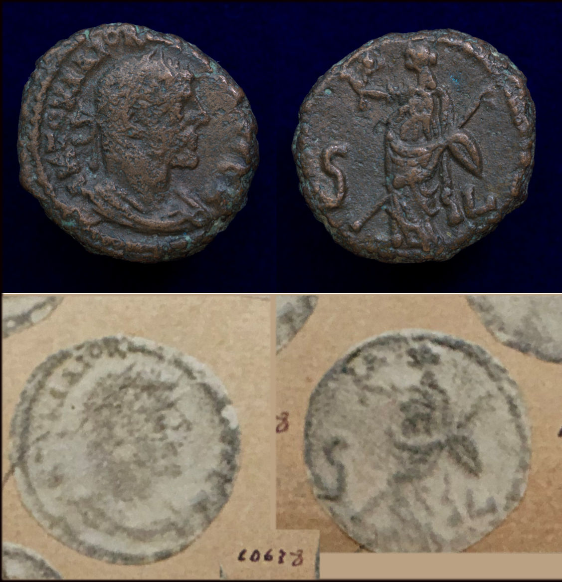 Diocletian Dattari.jpg