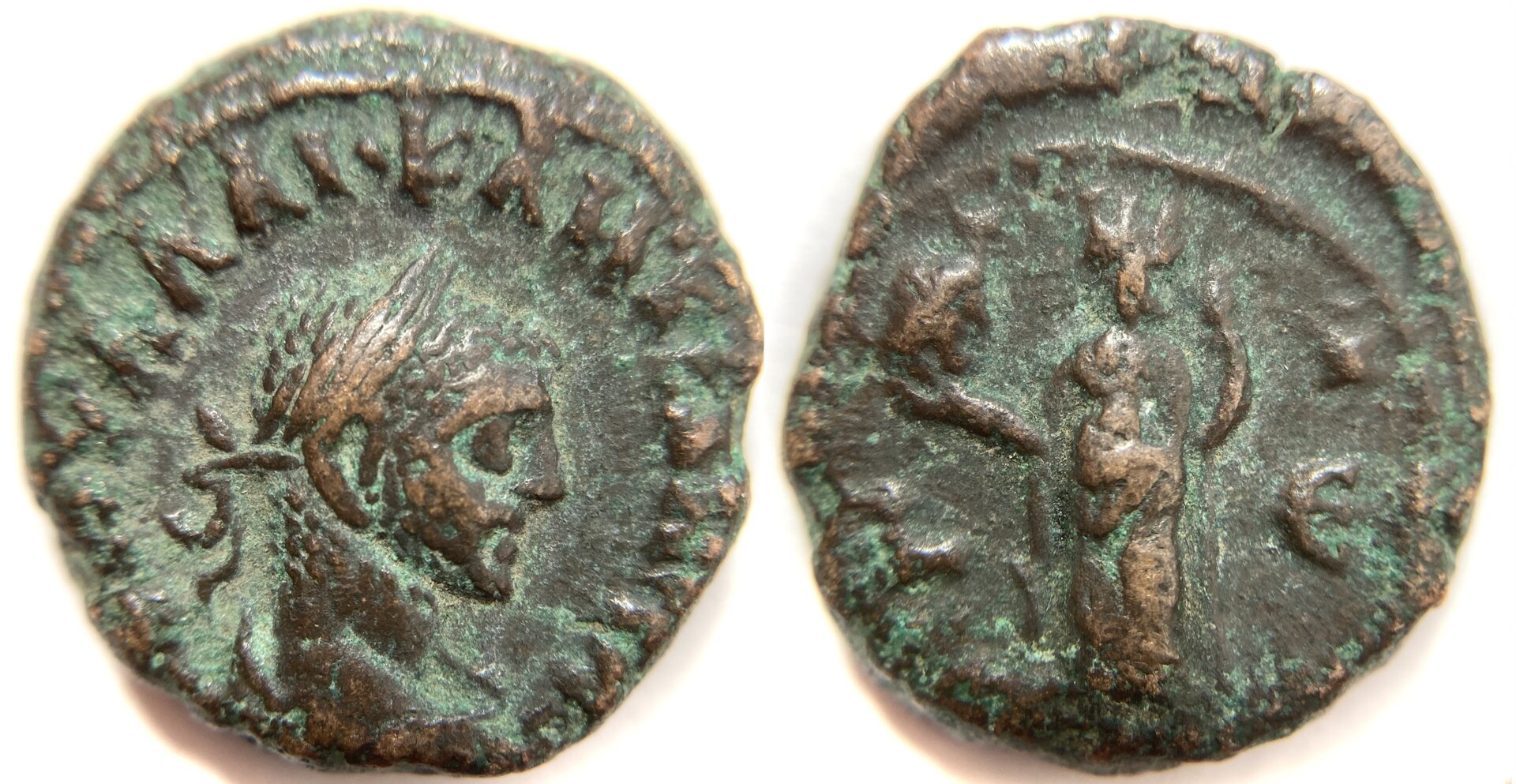 Diocletian Tet Milne 4915.JPG