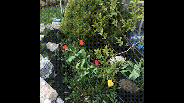 DiocletianGIF.gif