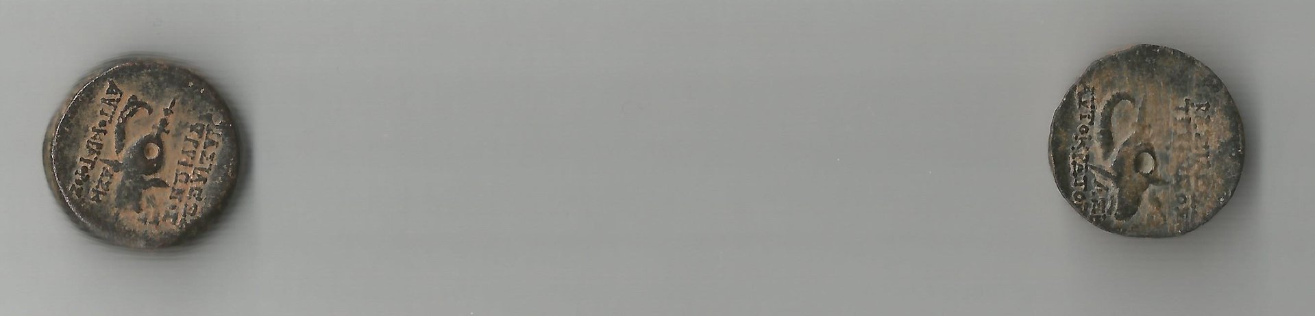 DiodTr R 001.jpg