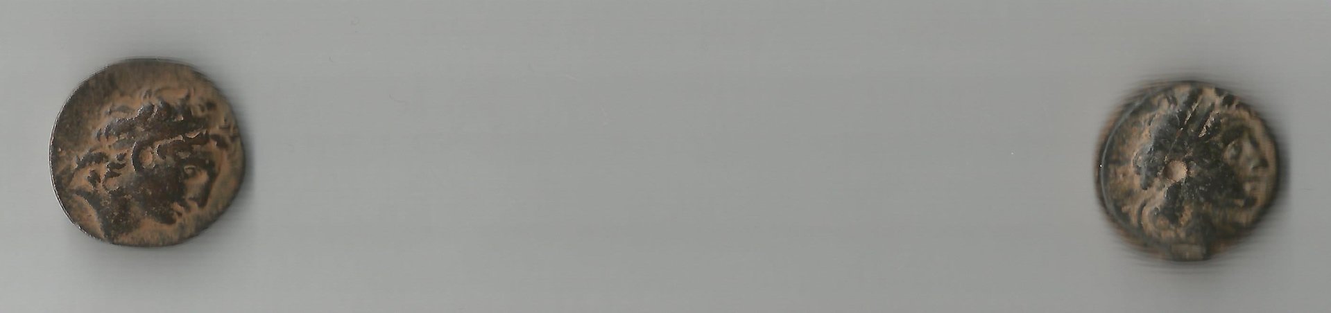DiodTryp O 001.jpg