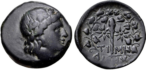 Dionysopolis AE23 No CM.jpg