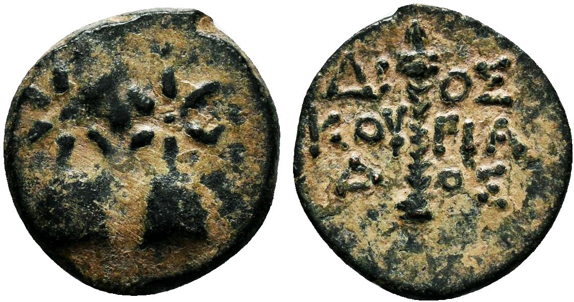dioscurias.jpg