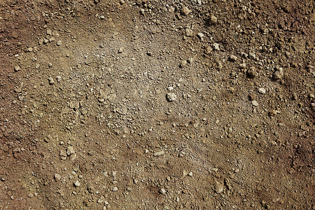 dirt.jpg
