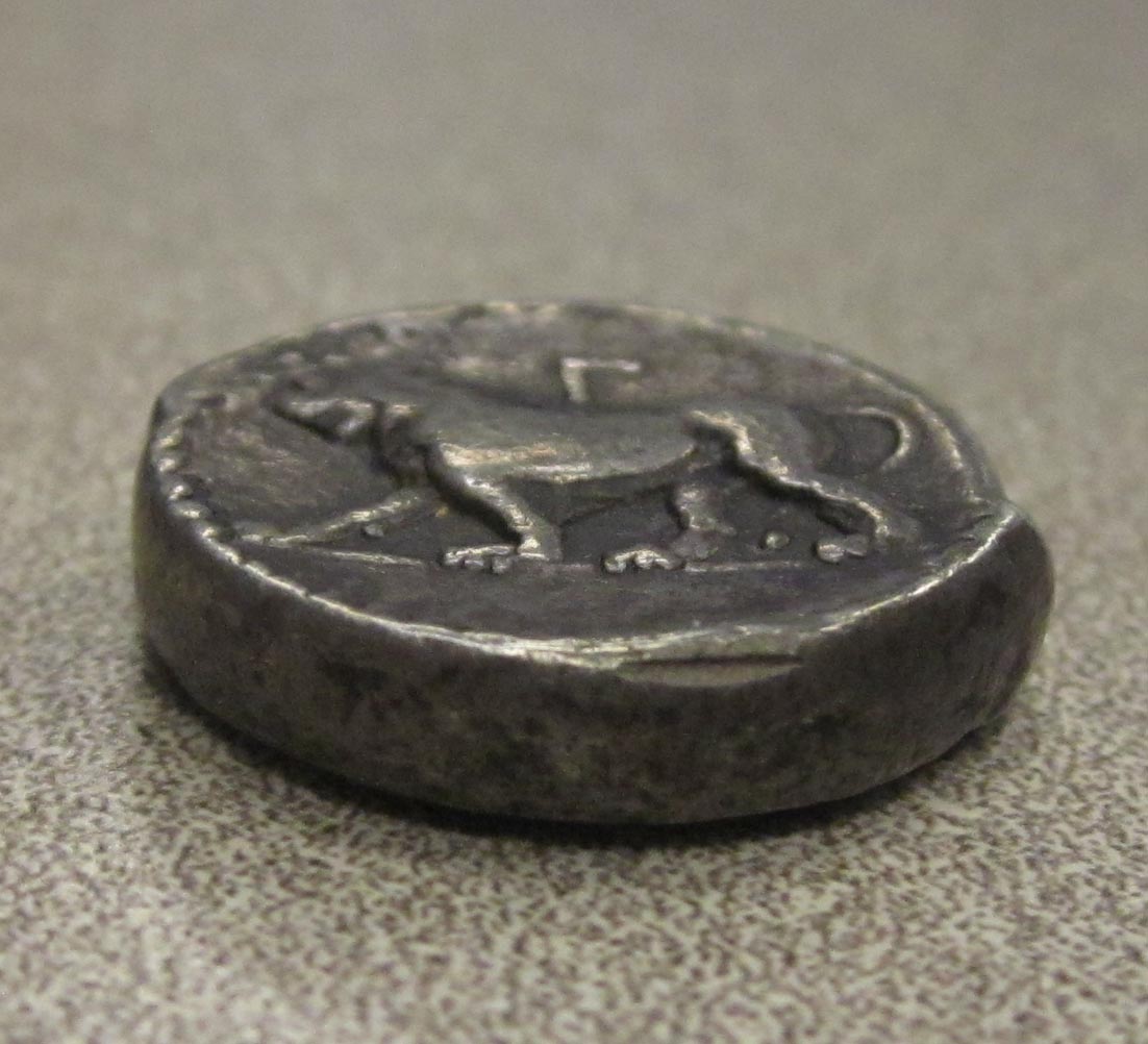 DiShekel Side View.jpg