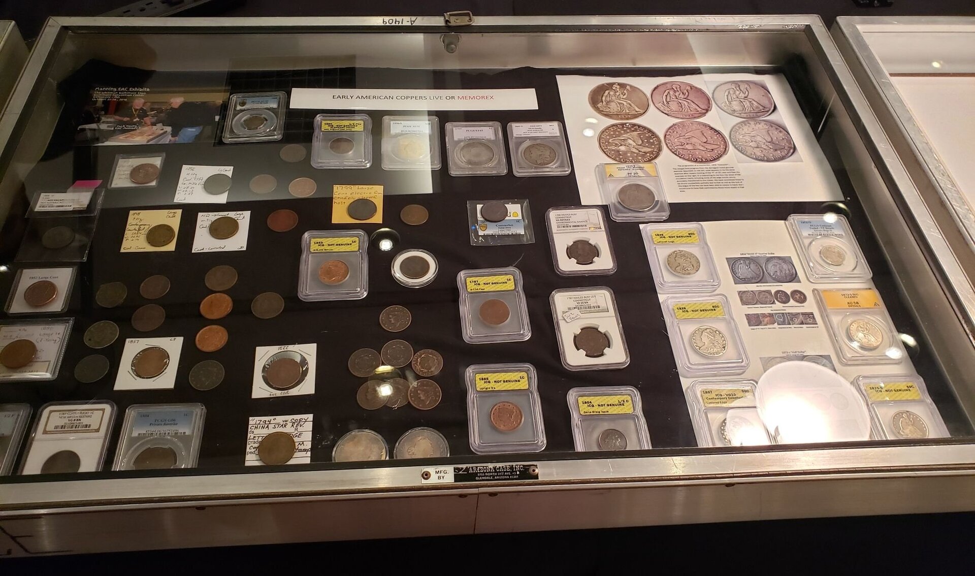 display case 2.jpg