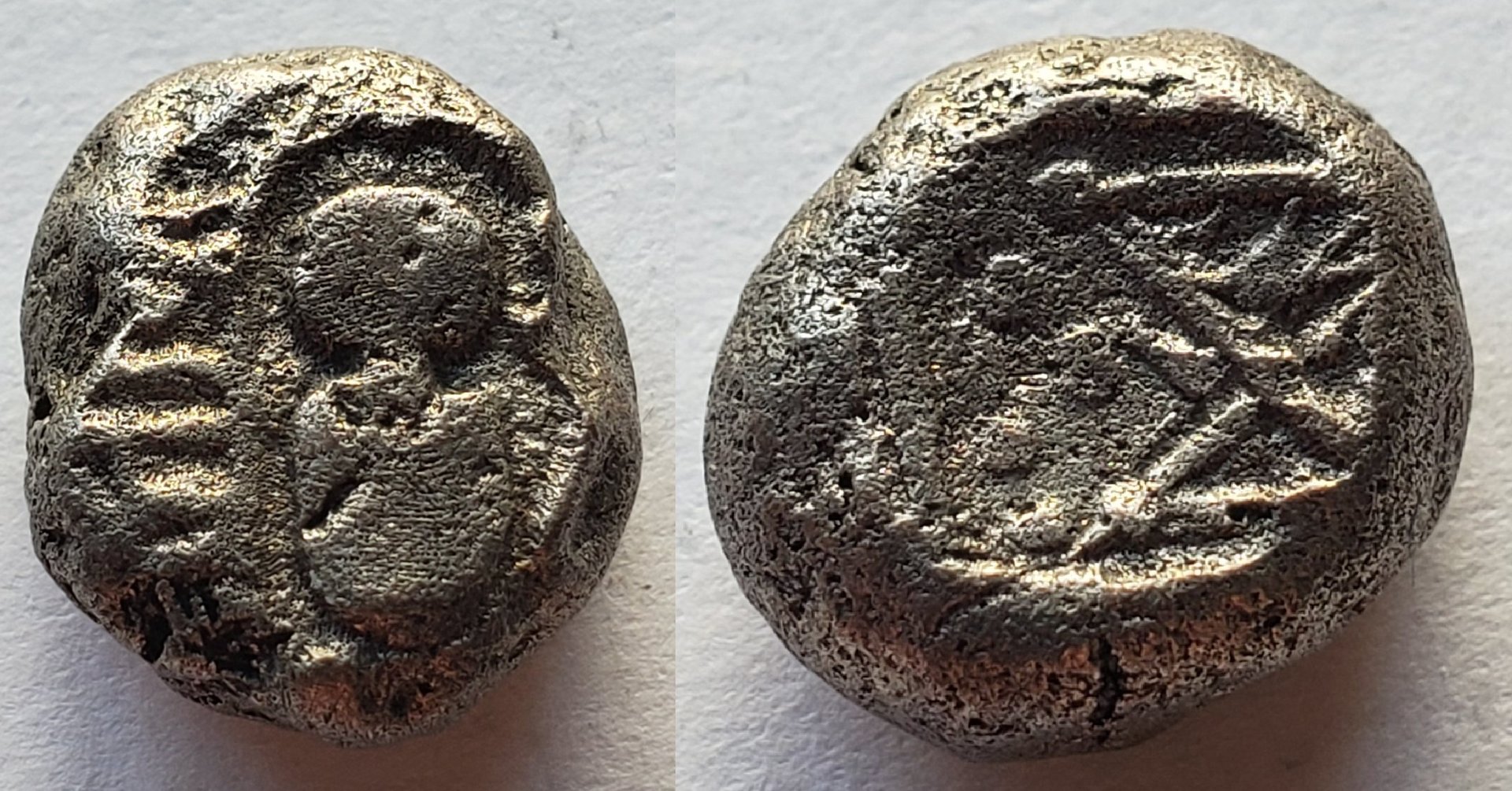Distinctive nose inscribed srila.jpg