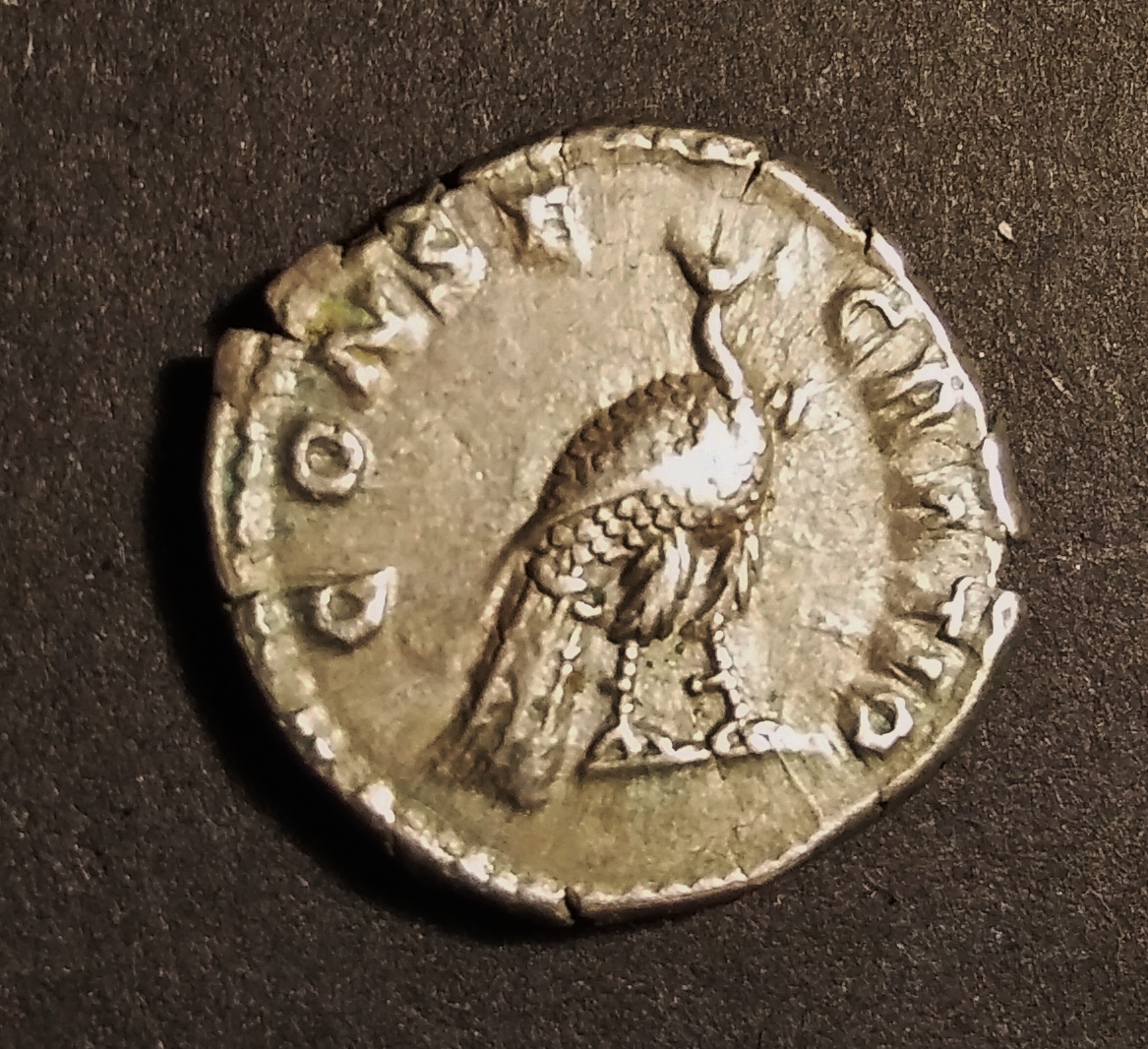 Diva Faustina II R3.jpg